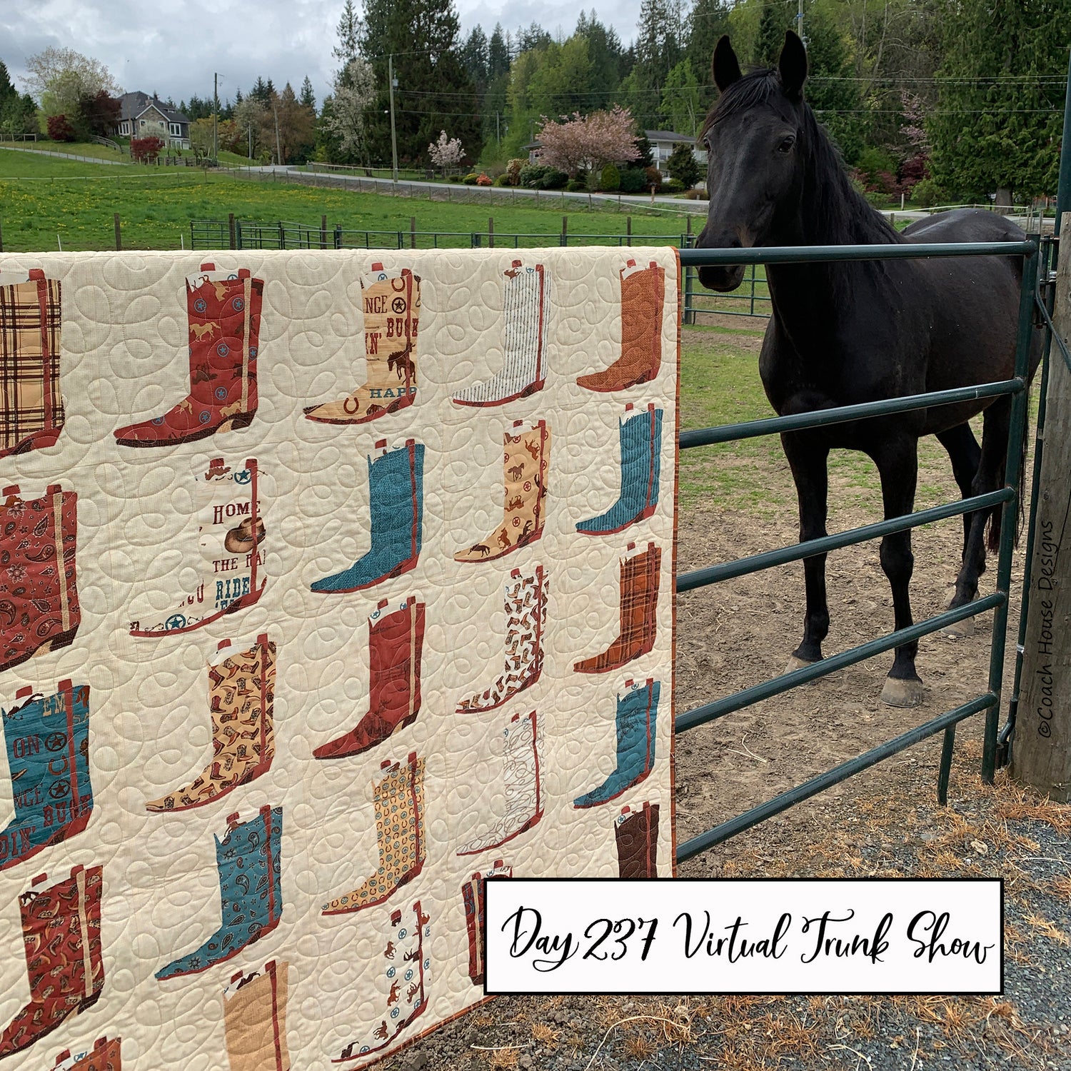 Day 237 of my Virtual Trunk Show - Bootaholic