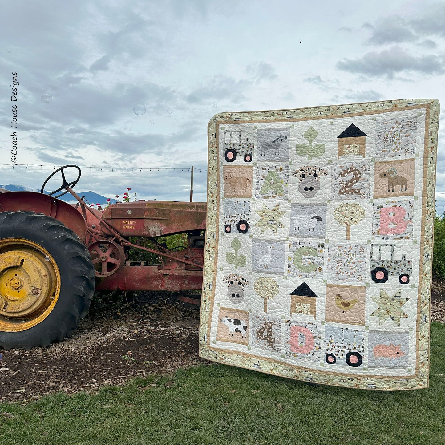 I Wanna Be a Farmer Downloadable PDF Quilt Pattern