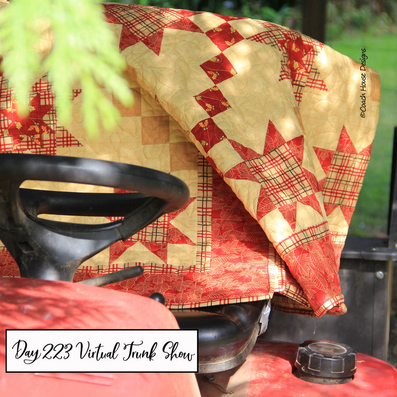 Day 223 of my Virtual Trunk Show - Plaid Stars