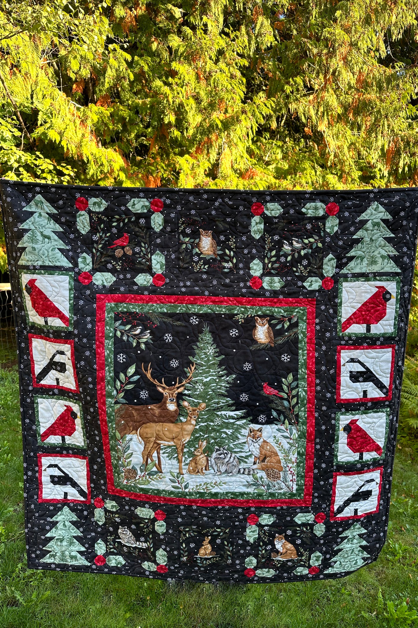 Wonderland Downloadable PDF Quilt Pattern