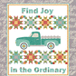 Find Joy in the Ordinary