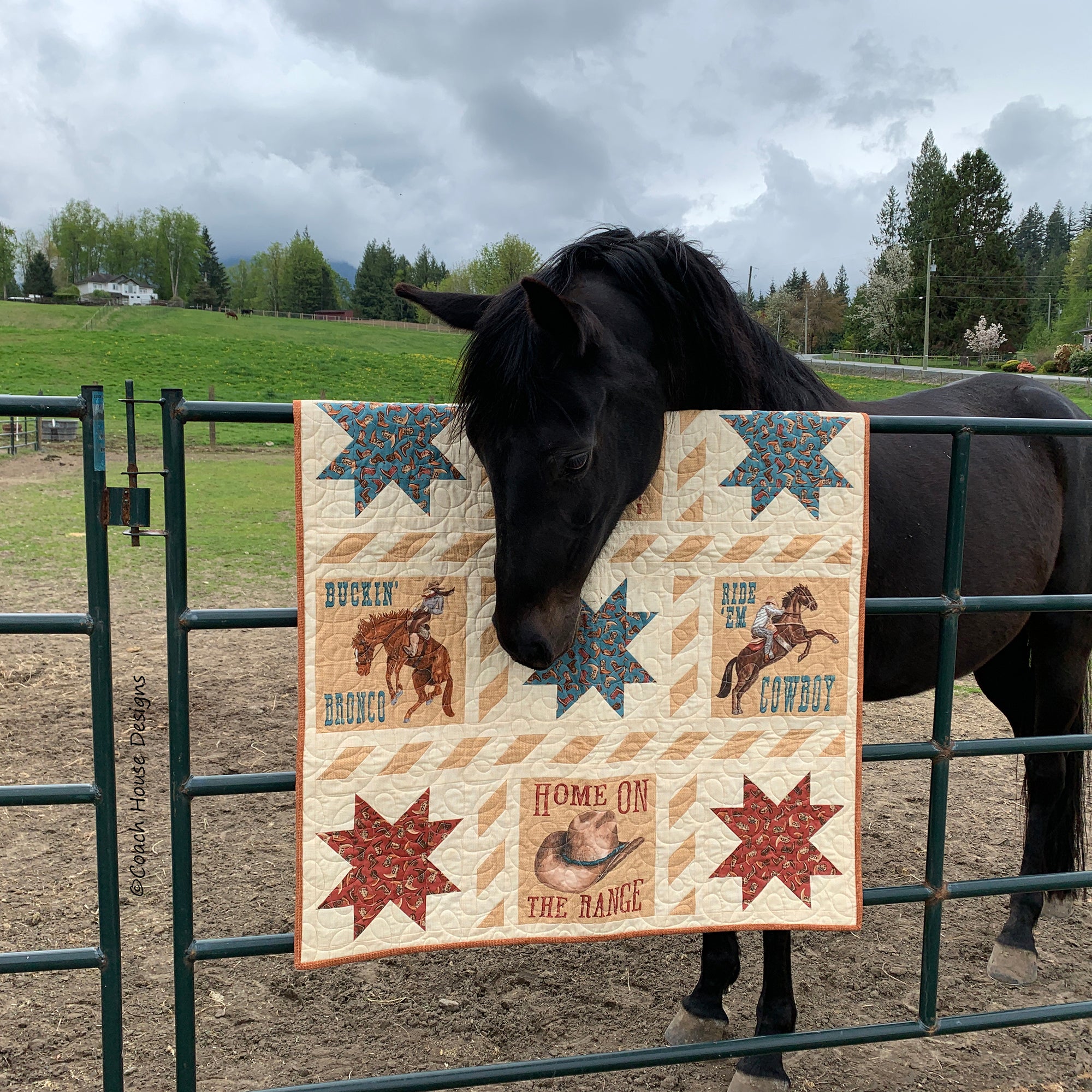 My Buckaroo Quilt Pattern – Coach House Designs US