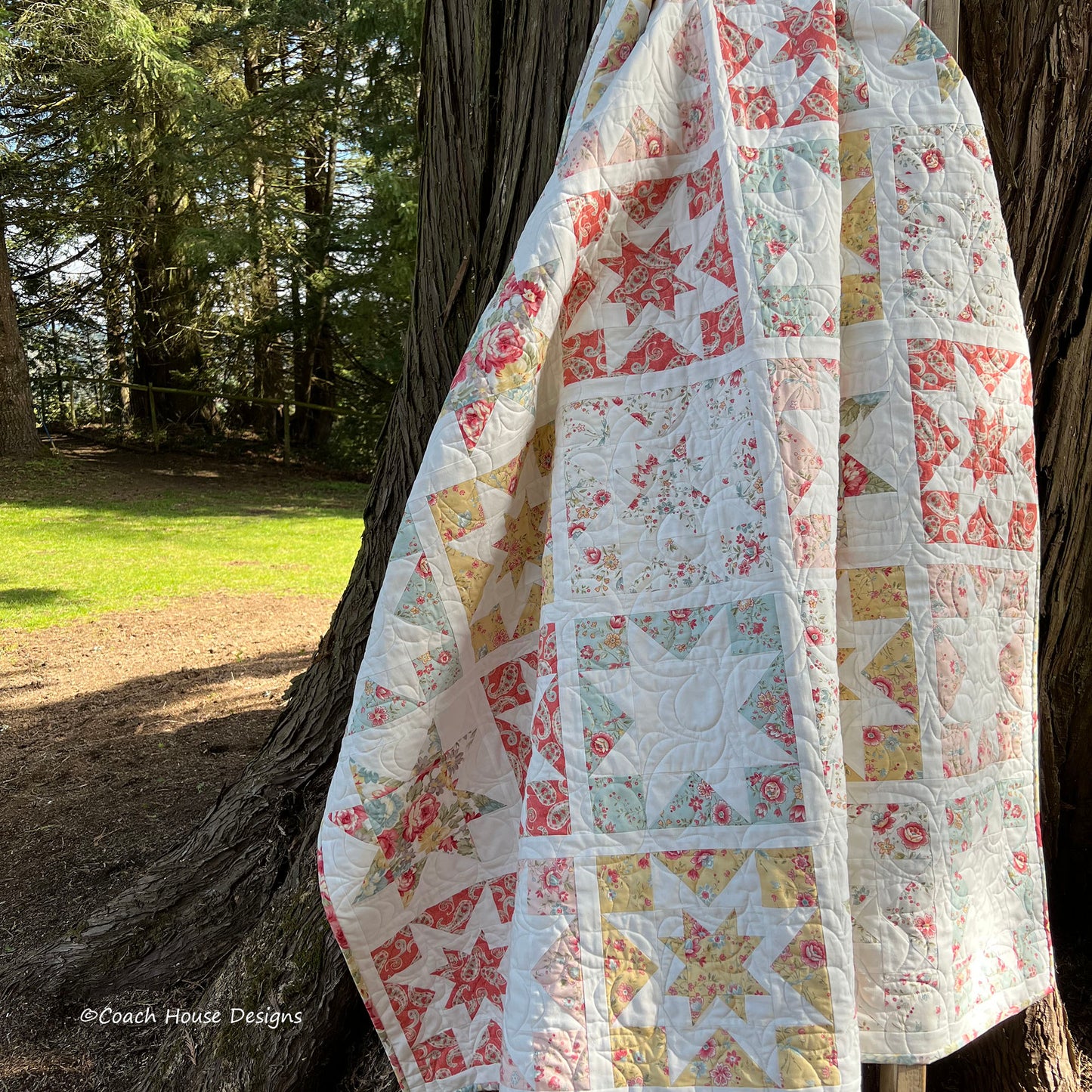 Promenade Stars Quilt Pattern