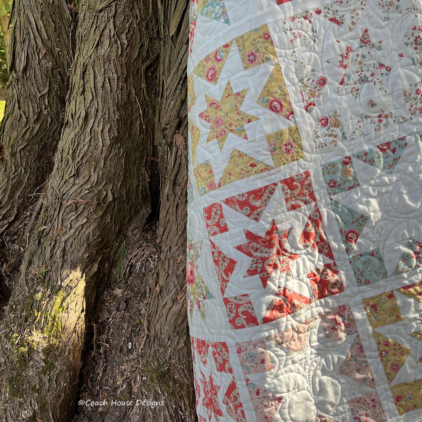 Promenade Stars Quilt Pattern